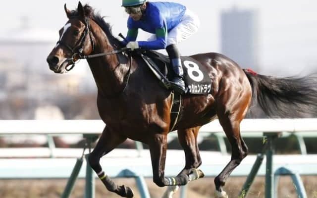 【七夕賞】賞金上位馬が全頭出走し、アンノートルとグローブシアターが除外