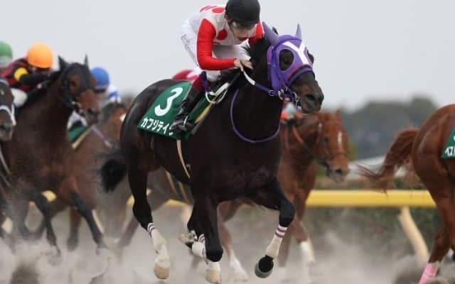 【プロキオンS】地方馬サイタスリーレッドが回避し、1枠を巡る抽選対象だった2頭がともに出走