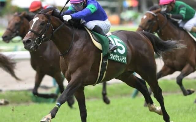 【七夕賞枠順確定】クレッシェンドラヴは2枠3番、ジナンボーは3枠6番