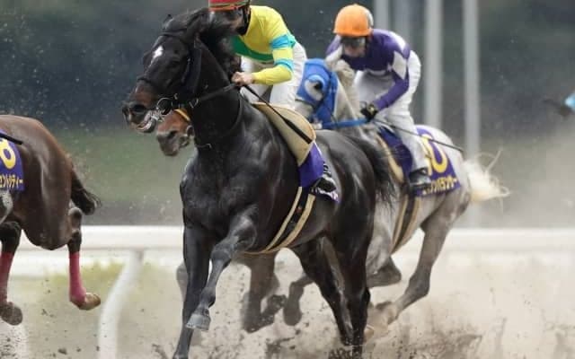 【プロキオンS枠順確定】サクセスエナジーは7枠14番、サンライズノヴァは3枠6番