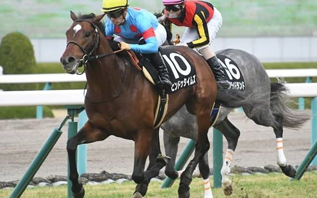 【七夕賞予想】 波乱が多発する名物レースの攻略のカギは3つ！ “気象予想”であぶりだした注目馬は？/JRAレース展望