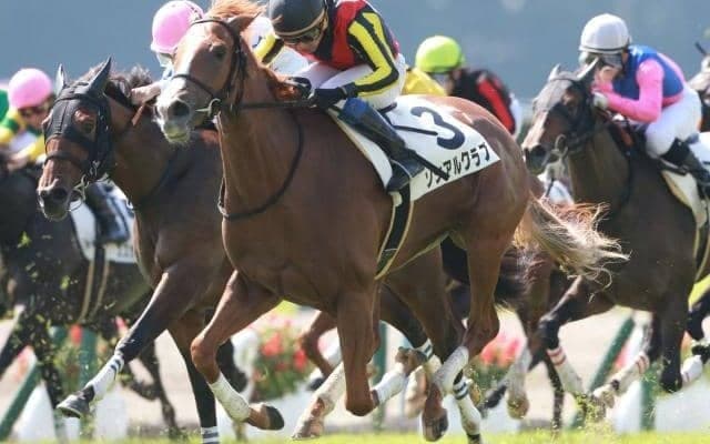 【本日の注目ポイント】注目2歳馬が続々デビュー！メインは3場とも3勝クラス