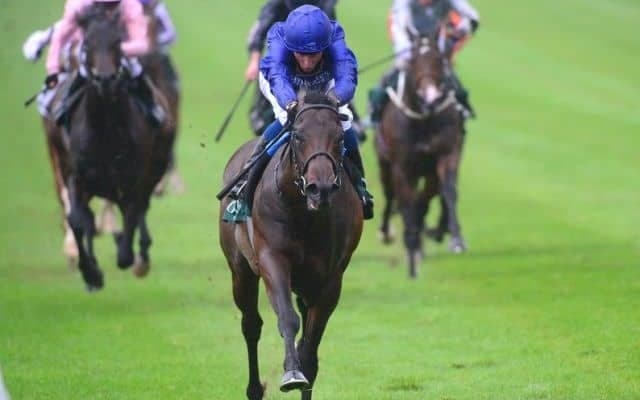 【仏・ジャンプラ賞】欧州2歳王者ピナトゥボは4番枠、仏2000ギニー3着アルソンは10番枠