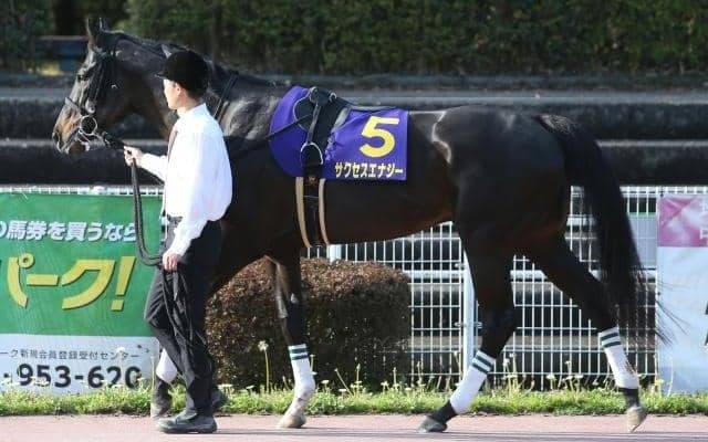 【プロキオンS予想】絶好枠に入ったサクセスエナジー/JRAレース展望