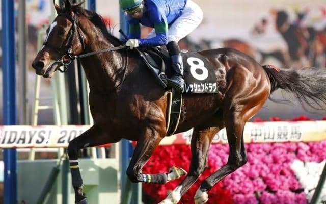 【本日の注目ポイント】福島で七夕賞、阪神でプロキオンS