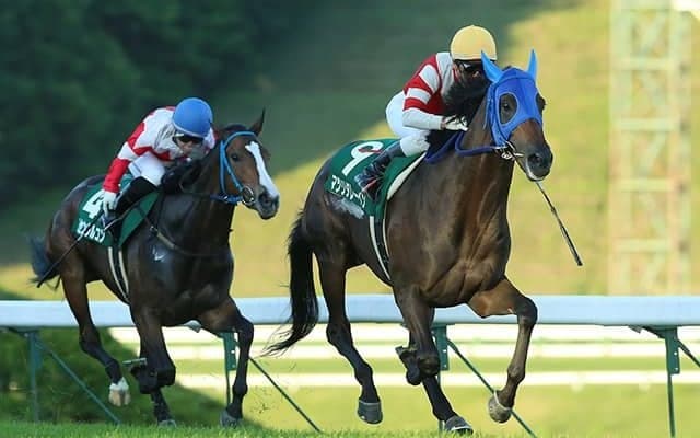 【地方競馬】岩手重賞オパールCが芝からダートに変更、走路状態悪化のため