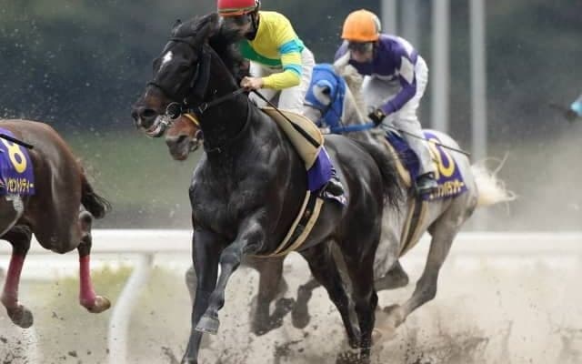 【プロキオンS予想】充実一途のサクセスエナジーに期待/JRAレース展望