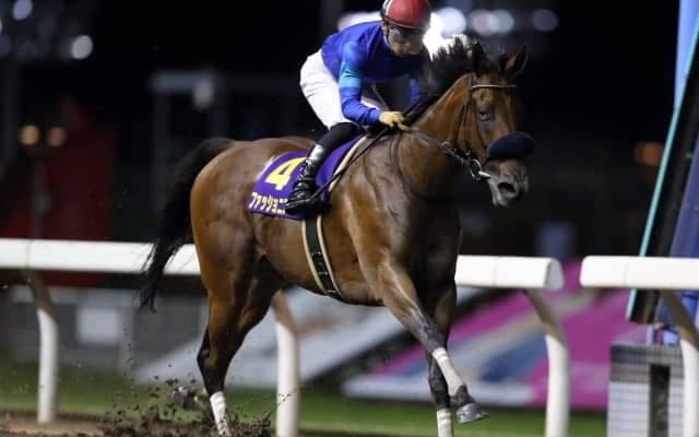 【川崎・スパーキングレディーC枠順確定】ファッショニスタは1枠1番、サルサディオーネは7枠8番