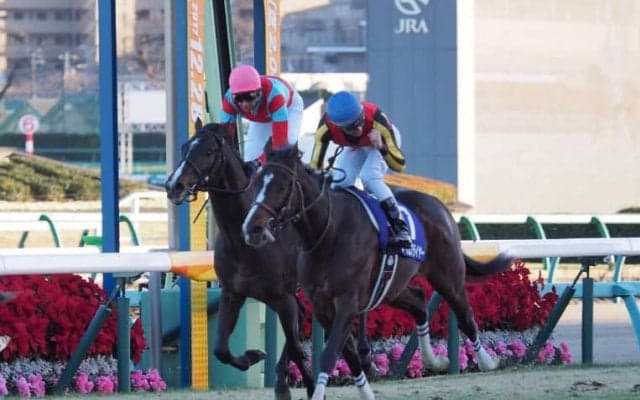 タイムフライヤーが2年半ぶりの勝利