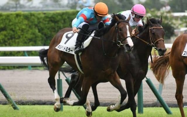 ハンデGIII函館記念＆中京記念 2歳GIII函館2歳Sに注目/今週の競馬界の見どころ