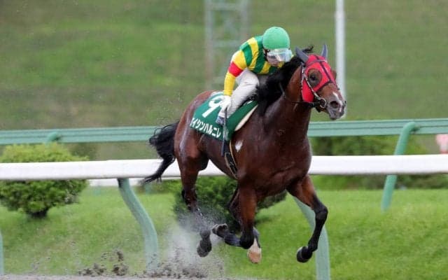 【盛岡・オパールC】地元岩手のエイシンハルニレが優勝！