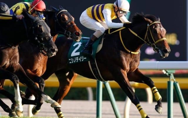 【函館記念見どころ】重賞2勝馬ニシノデイジー、久々のVなるか