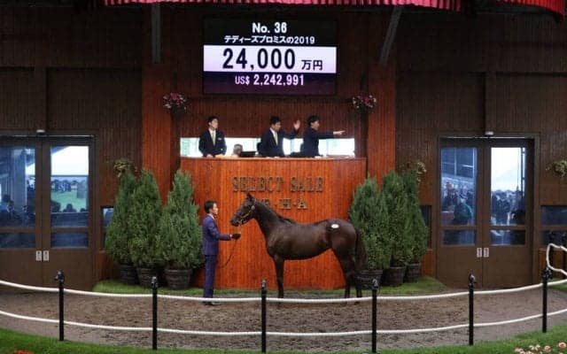 【セレクトセール2020】マイラプソディ半妹が2億4000万円