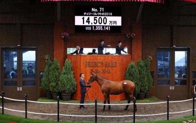 【セレクトセール2020】ワーケアの全妹が1億4500万円で落札