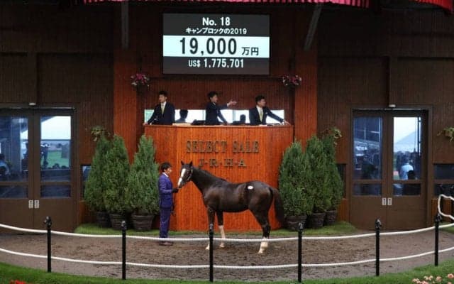 【セレクトセール2020】ディープ産駒が1億9000万円！上場1頭目から高額で落札