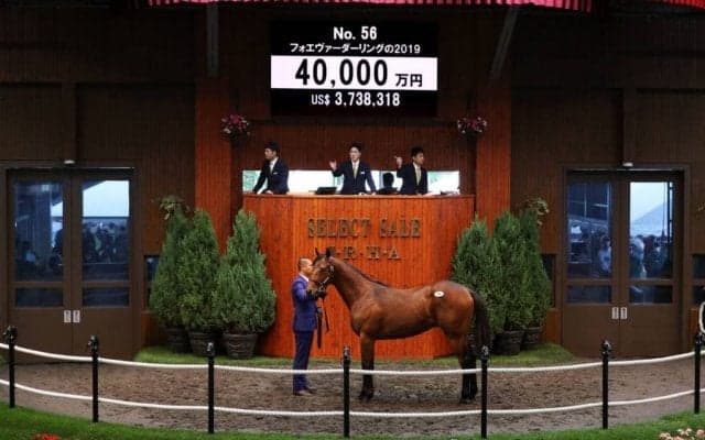 【セレクトセール2020】ディープ産駒が4億で落札