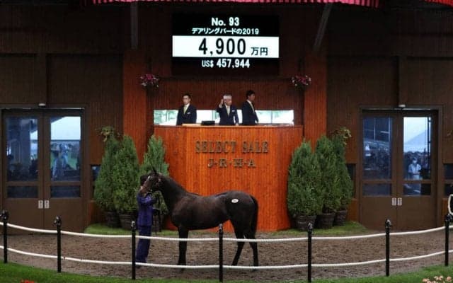 【セレクトセール2020】デアリングタクトの全妹が4900万円で落札