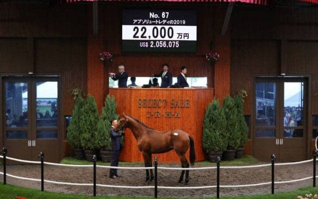 【セレクトセール2020】アブソリュートレディ19が2億2000万円！金子真人ホールディングスが落札