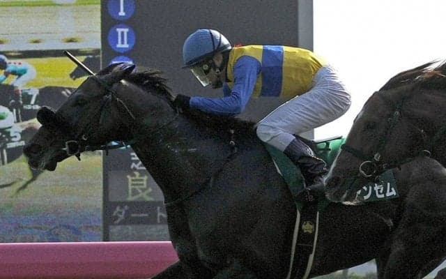 【セレクトセール2020】エアアンセム半弟が7000万円で落札