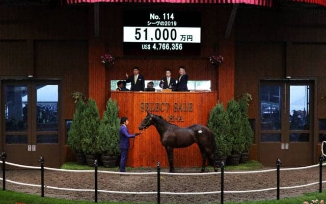 【セレクトセール2020】ディープ産駒が5億円超え