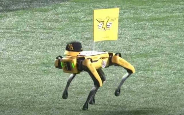 「キモい」「恐怖」が「だんだん可愛く…」鷹の四足歩行ロボ