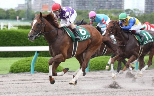 【プロキオンS】サンライズノヴァが貫禄の勝利！大外一気で差し切る