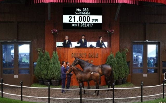 【セレクトセール2020】シーヴの2020が2億1000万円