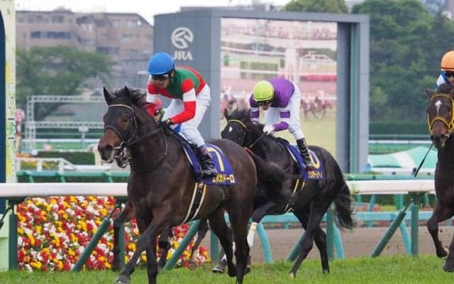 【セレクトセール2020】エポカドーロ半弟が7200万円