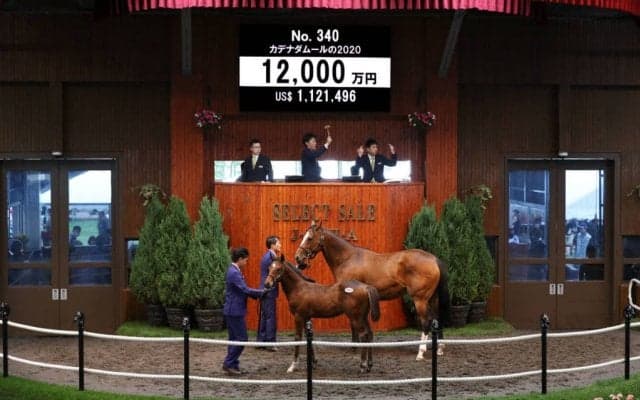 【セレクトセール2020】エピファネイア産駒が1億2000万円