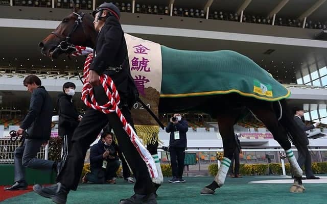 【次走】サートゥルナーリアは秋の天皇賞へ直行