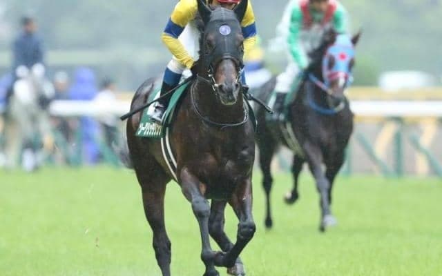 【中京記念展望】阪神開催のサマーマイルシリーズ第2弾、注目はあの馬