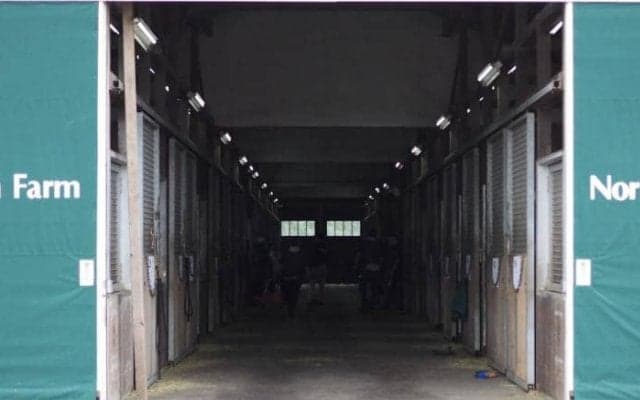 【セレクトセール2020】2日間で187億6200万円の売り上げを記録