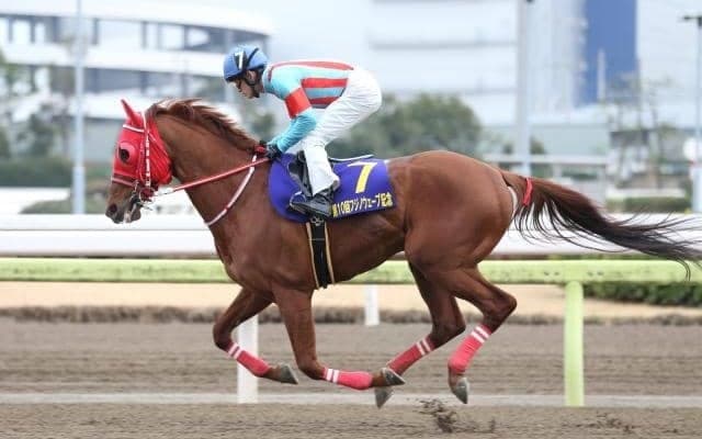 【門別競馬情報】二夜連続の重賞開催！まずは“展開の読み”が肝心、内回り1600ｍ「第17回星雲賞H3」/地方競馬情報