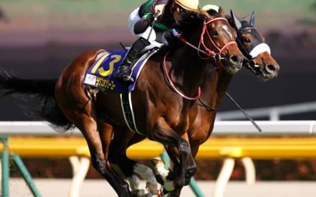 【次走】鳴尾記念で2着のラヴズオンリーユーは府中牝馬Sへ
