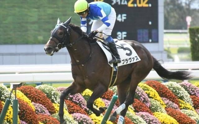 【次走】七夕賞で2着のブラヴァスは新潟記念へ