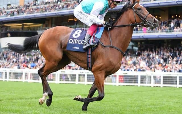 【英・キングジョージ展望】エネイブル “女王復権”へ 背水の陣で挑む大一番/合田直弘コラム