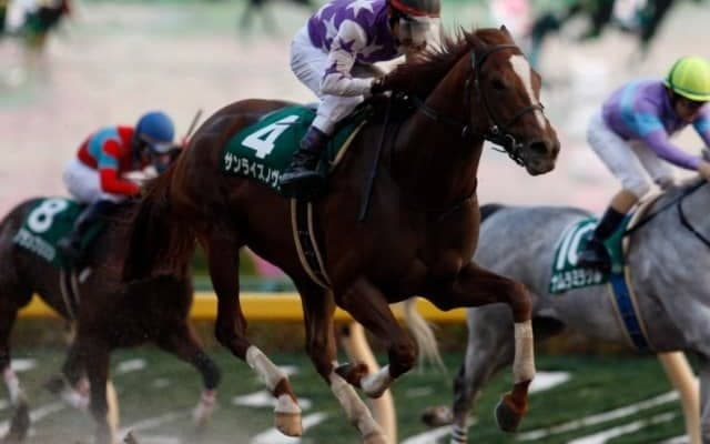 【次走】プロキオンS快勝のサンライズノヴァは南部杯へ