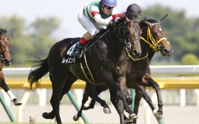 【函館記念 予想オッズ】重賞2勝目を狙うレイエンダが人気の中心