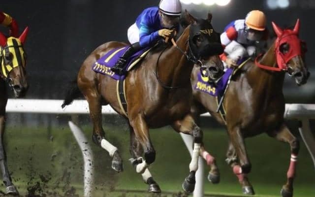 【スパーキングレディーC回顧】理想どおりに運んでファッショニスタが連覇(斎藤修)