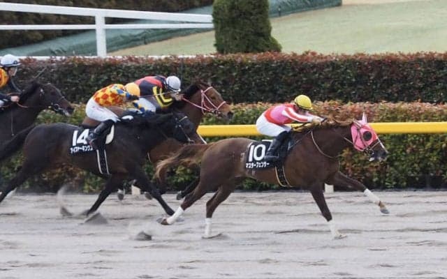 【マーキュリーC】JRA出走予定馬