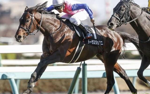 【函館記念枠順確定】レイエンダは1枠1番、トーラスジェミニは5枠10番