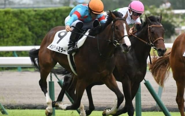 【中京記念枠順確定】ギルデッドミラーは7枠15番、ソーグリッタリングは6枠11番