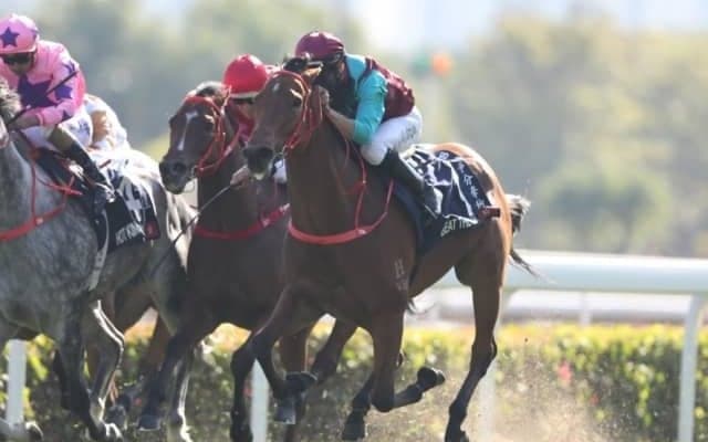 【海外競馬】香港2019/20シーズン年度代表馬はエグザルタント！ G1連勝で締めくくる　他にビートザクロック・ビューティージェネレーションら受賞