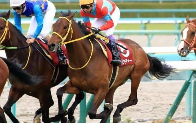 【本日の注目ポイント】2歳世代最初のJRA重賞・函館2歳S、阪神ではリステッド・ジュライS