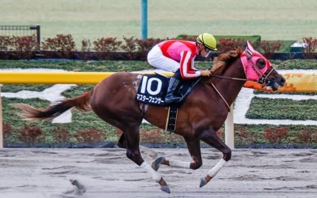 【盛岡・マーキュリーC枠順確定】マスターフェンサーは3枠3番、デルマルーヴルは6枠9番