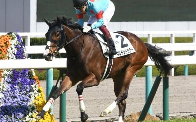 【中京記念予想】ハンデ51kg、3歳牝馬ギルデッドミラーに期待/JRAレース展望