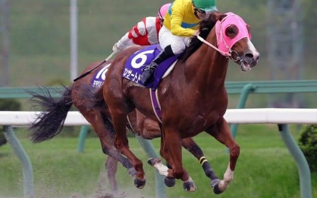 【岩鷲賞予想】コンサートドーレとプレシャスエースの一騎打ち!?/NARレース展望