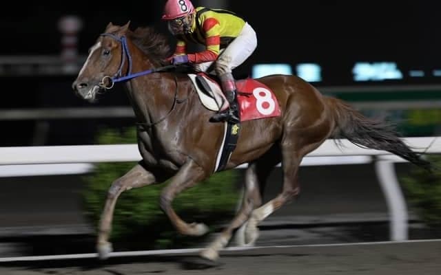 【トレノ賞予想】安定スペルマロンか鬼脚ダノングッドか/NARレース展望