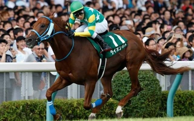 札幌・新潟開幕 千直アイビスSDに注目/今週の競馬界の見どころ