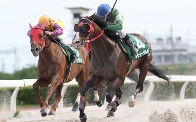 【名古屋・名港盃枠順確定】11歳馬メモリージルバは7枠10番、重賞10勝エイシンニシパは8枠11番